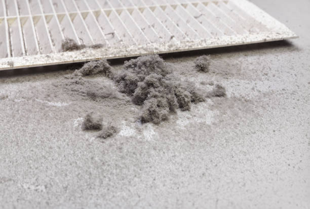 Best Affordable Duct Cleaning Services  in Holly Springs, GA
