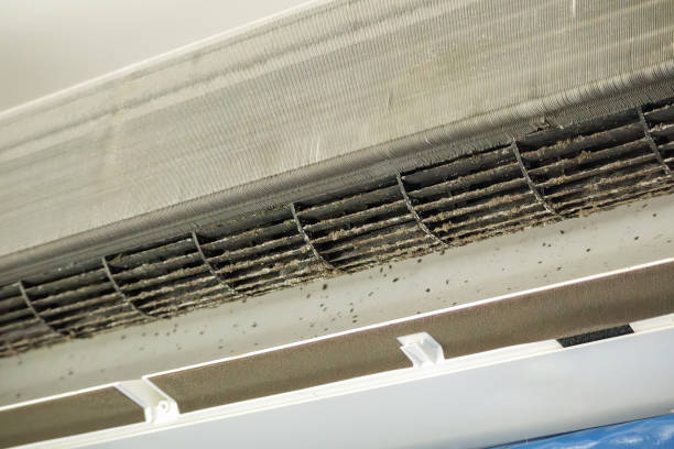 Best HVAC Duct Inspection Services  in Holly Springs, GA